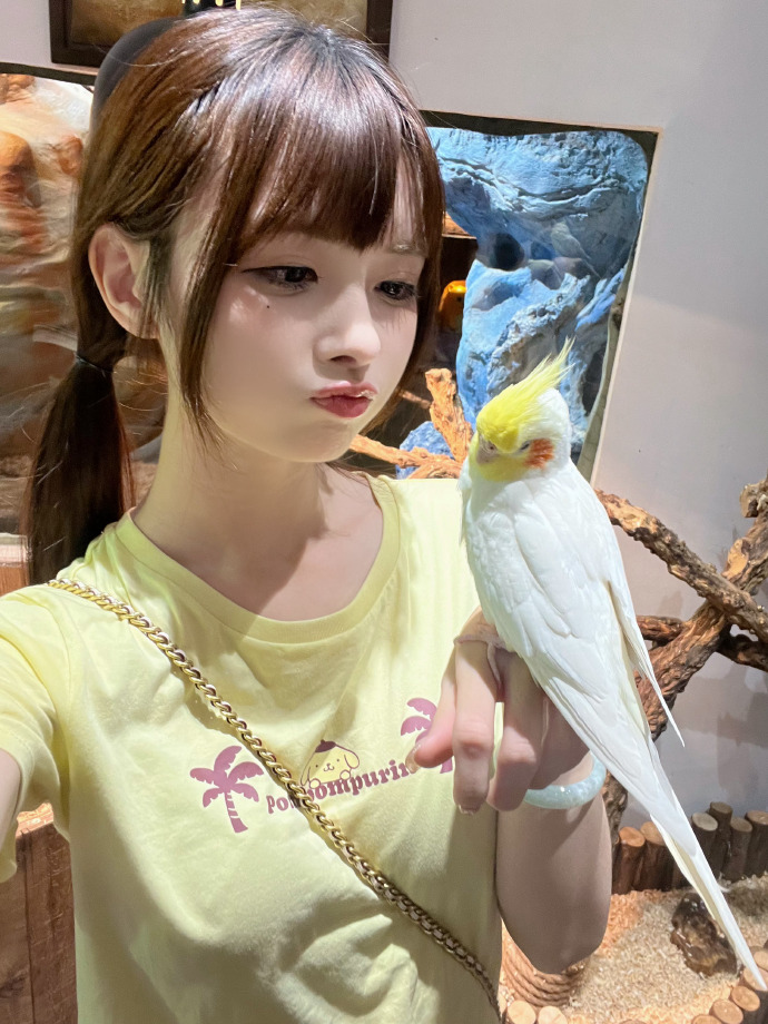 黑暗骑士
